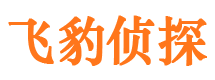 泰来捉小三公司